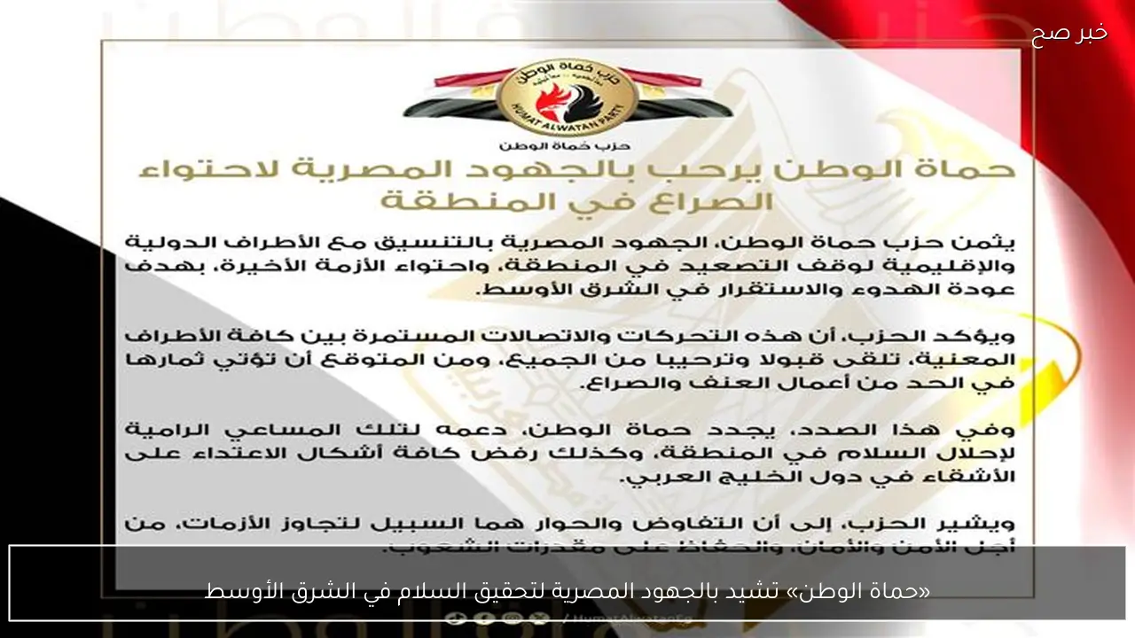 «حماة الوطن» تشيد بالجهود المصرية لتحقيق السلام في الشرق الأوسط