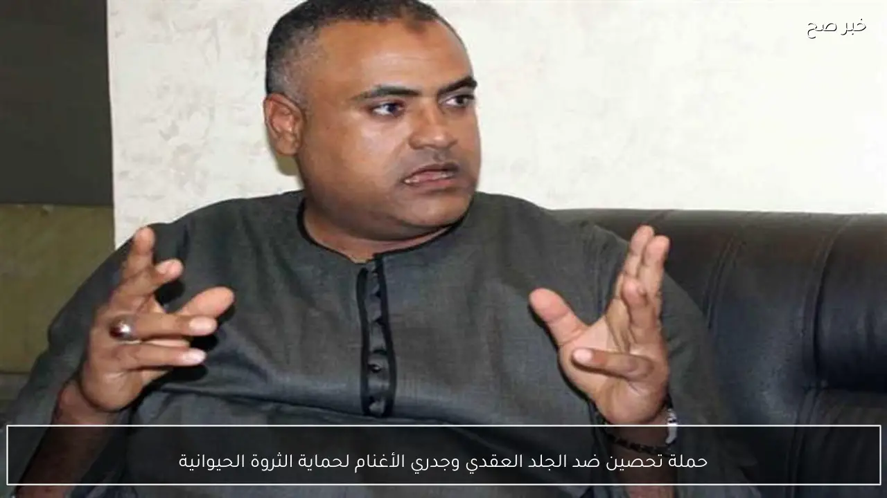 حملة تحصين ضد الجلد العقدي وجدري الأغنام لحماية الثروة الحيوانية