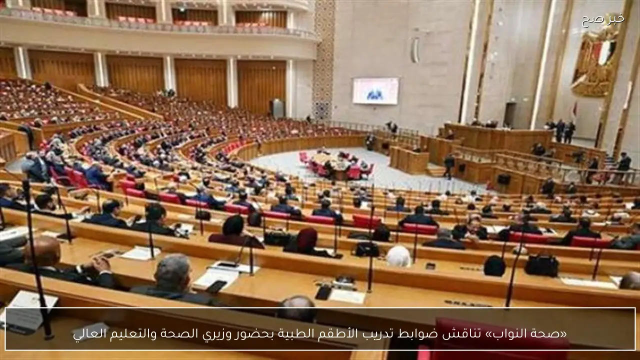 «صحة النواب» تناقش ضوابط تدريب الأطقم الطبية بحضور وزيري الصحة والتعليم العالي