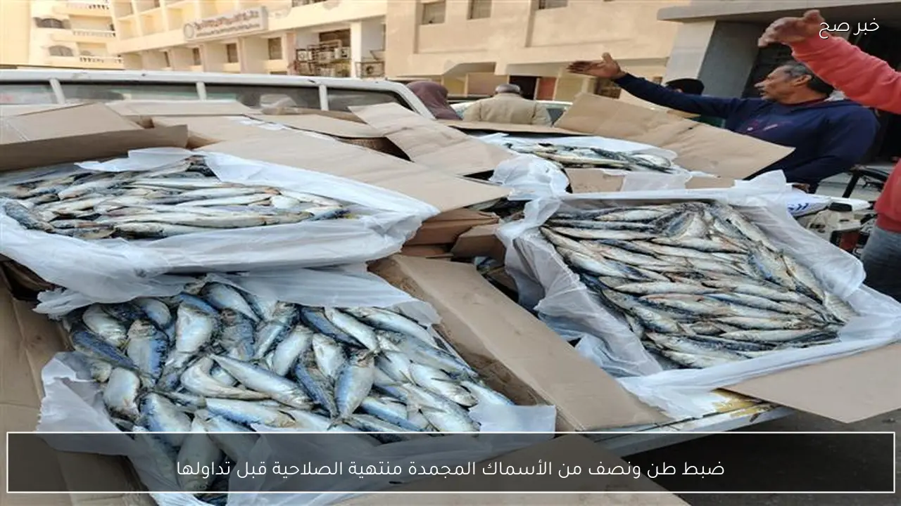 ضبط طن ونصف من الأسماك المجمدة منتهية الصلاحية قبل تداولها