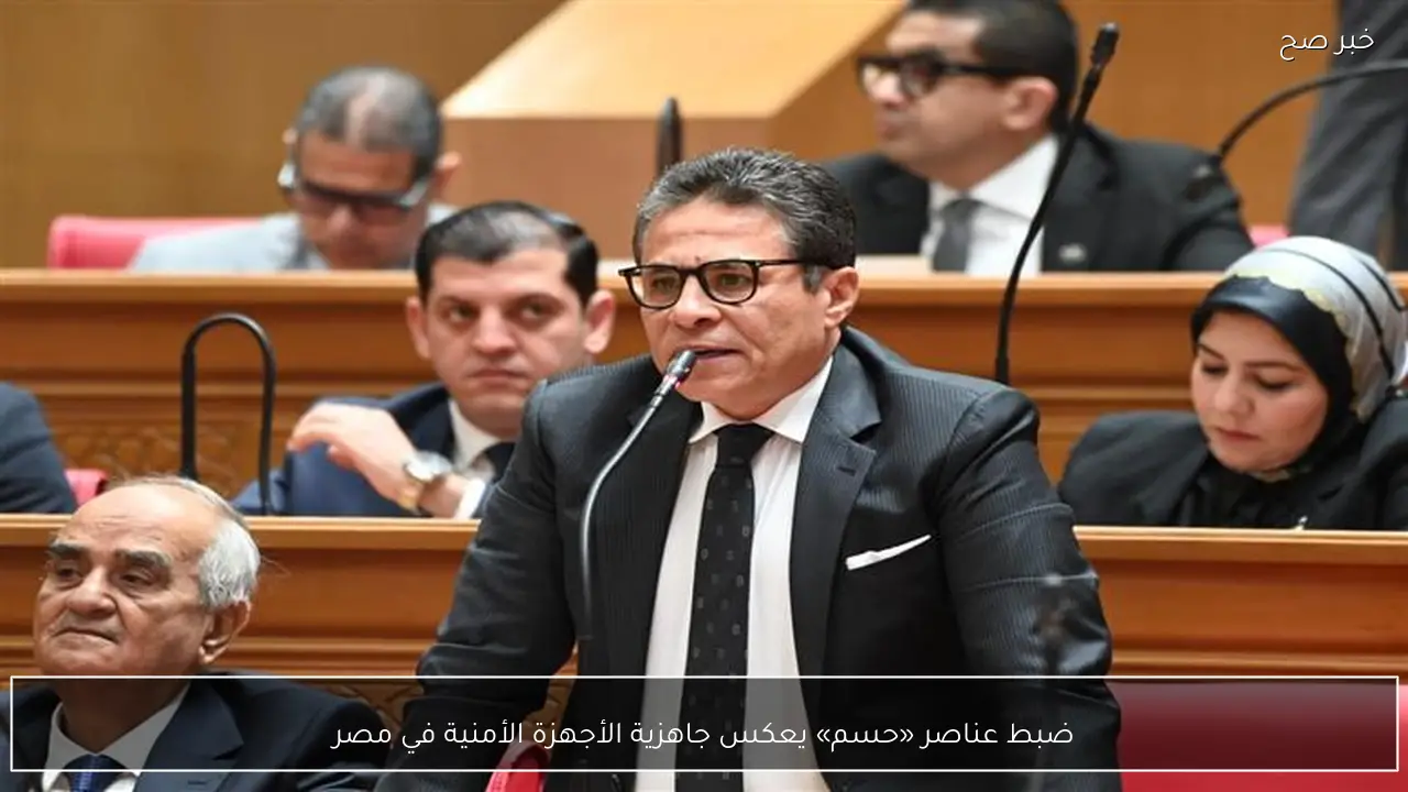 ضبط عناصر «حسم» يعكس جاهزية الأجهزة الأمنية في مصر