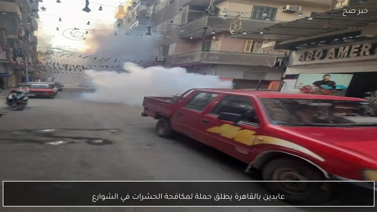 عابدين بالقاهرة يطلق حملة لمكافحة الحشرات في الشوارع