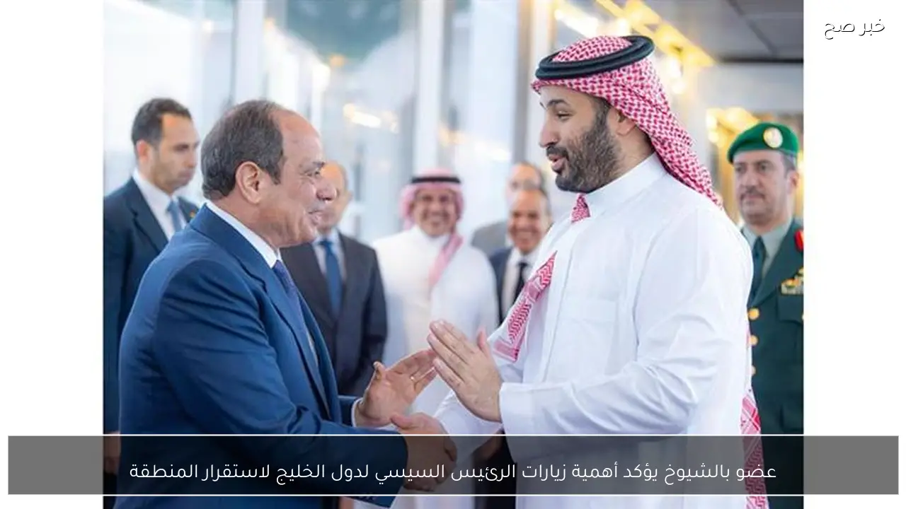 عضو بالشيوخ يؤكد أهمية زيارات الرئيس السيسي لدول الخليج لاستقرار المنطقة