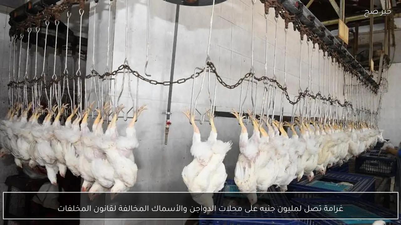 غرامة تصل لمليون جنيه على محلات الدواجن والأسماك المخالفة لقانون المخلفات