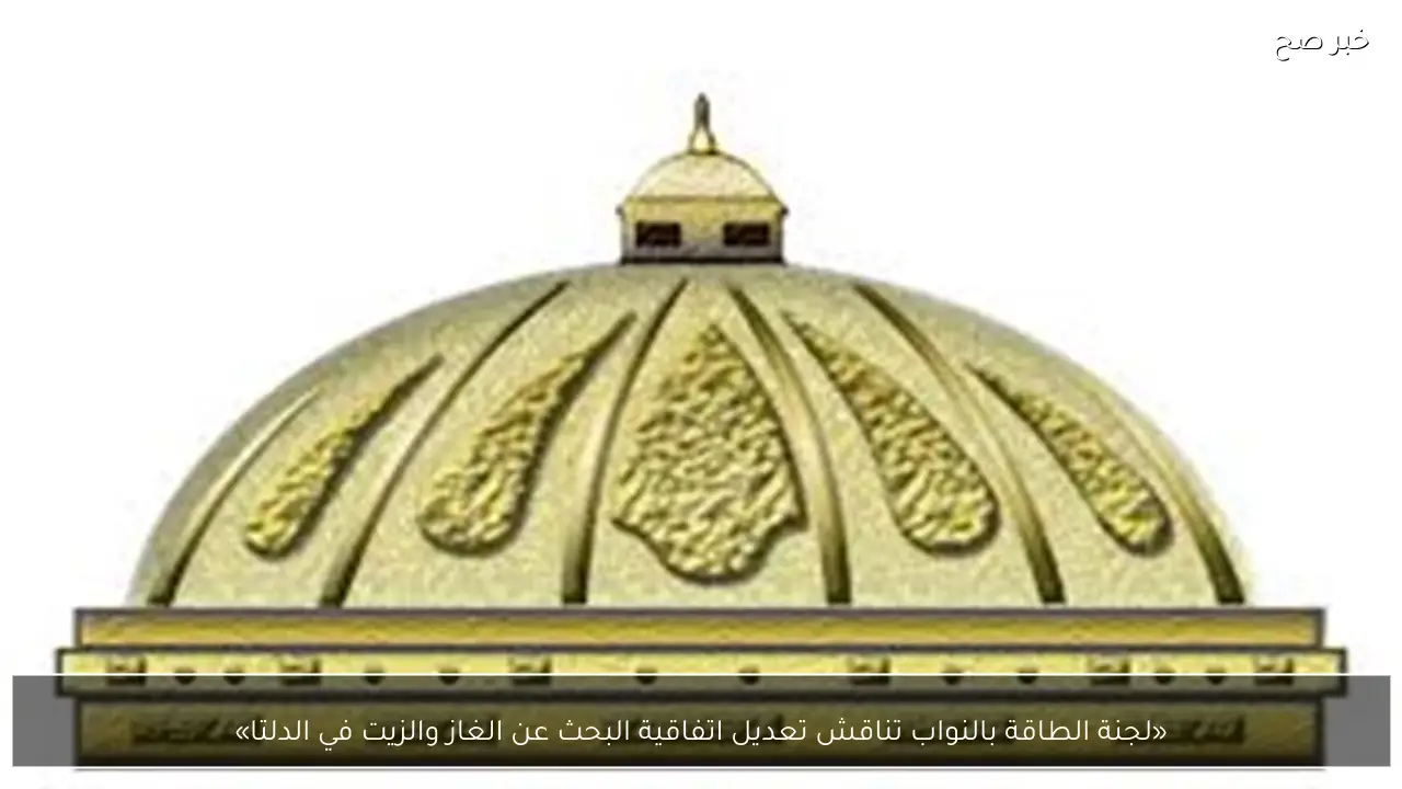 «لجنة الطاقة بالنواب تناقش تعديل اتفاقية البحث عن الغاز والزيت في الدلتا»