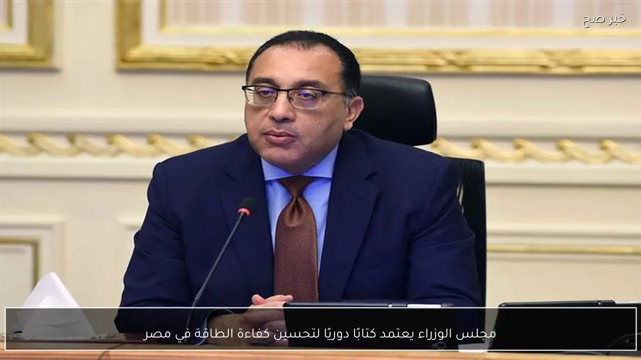 مجلس الوزراء يعتمد كتابًا دوريًا لتحسين كفاءة الطاقة في مصر