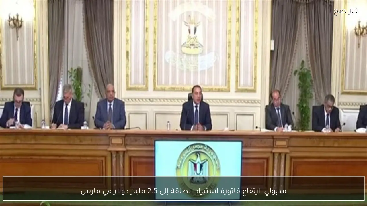 مدبولي: ارتفاع فاتورة استيراد الطاقة إلى 2.5 مليار دولار في مارس