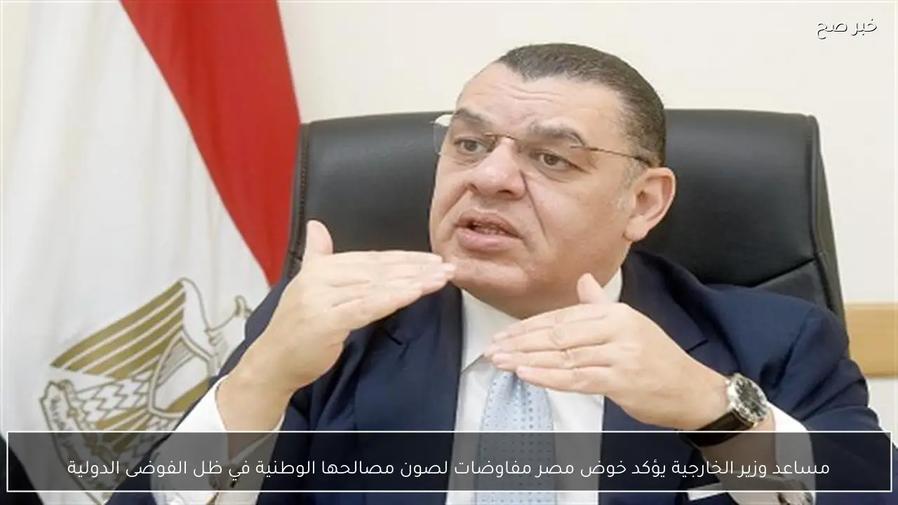 مساعد وزير الخارجية يؤكد خوض مصر مفاوضات لصون مصالحها الوطنية في ظل الفوضى الدولية