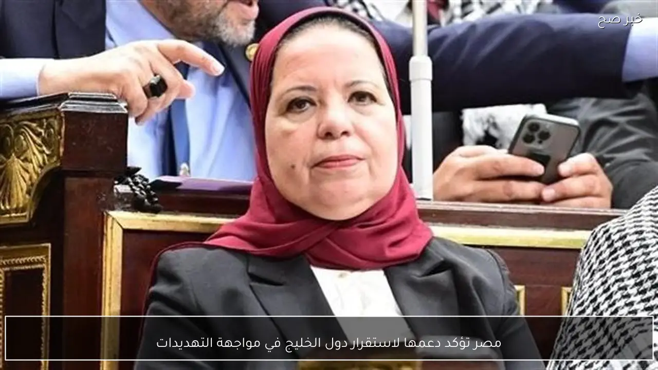 مصر تؤكد دعمها لاستقرار دول الخليج في مواجهة التهديدات