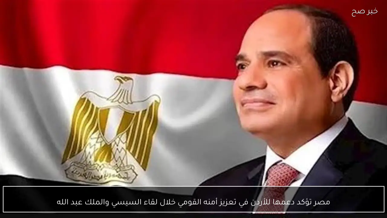 مصر تؤكد دعمها للأردن في تعزيز أمنه القومي خلال لقاء السيسي والملك عبد الله