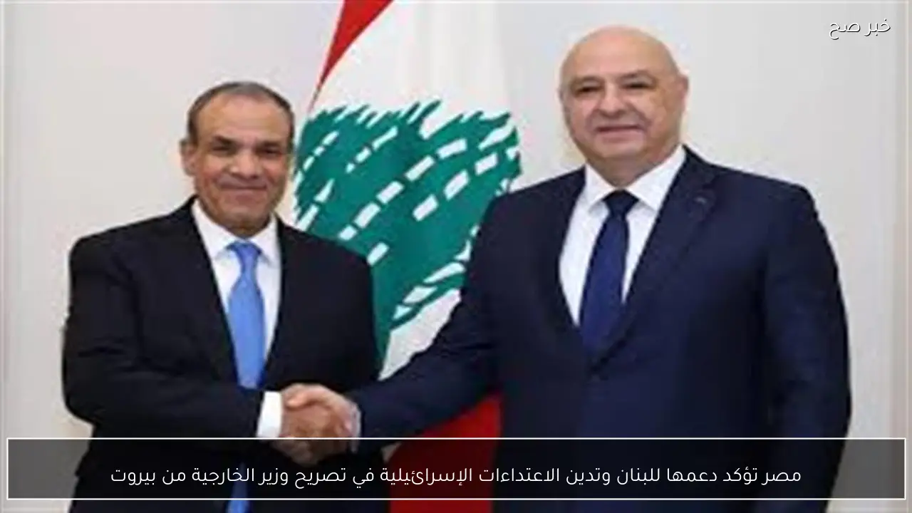 مصر تؤكد دعمها للبنان وتدين الاعتداءات الإسرائيلية في تصريح وزير الخارجية من بيروت