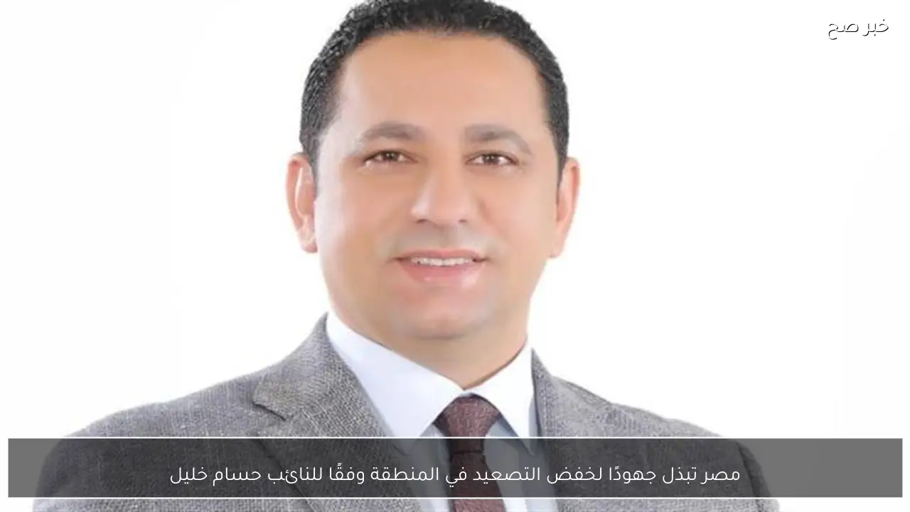 مصر تبذل جهودًا لخفض التصعيد في المنطقة وفقًا للنائب حسام خليل