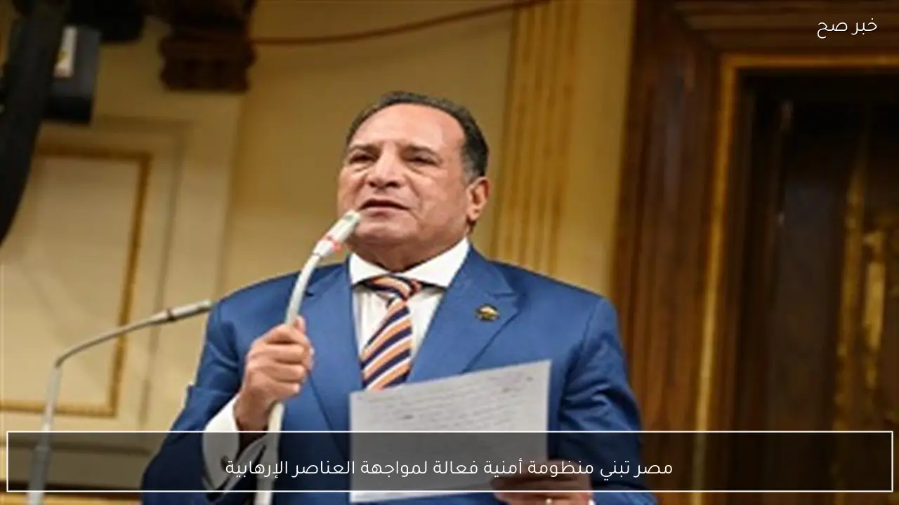 مصر تبني منظومة أمنية فعالة لمواجهة العناصر الإرهابية