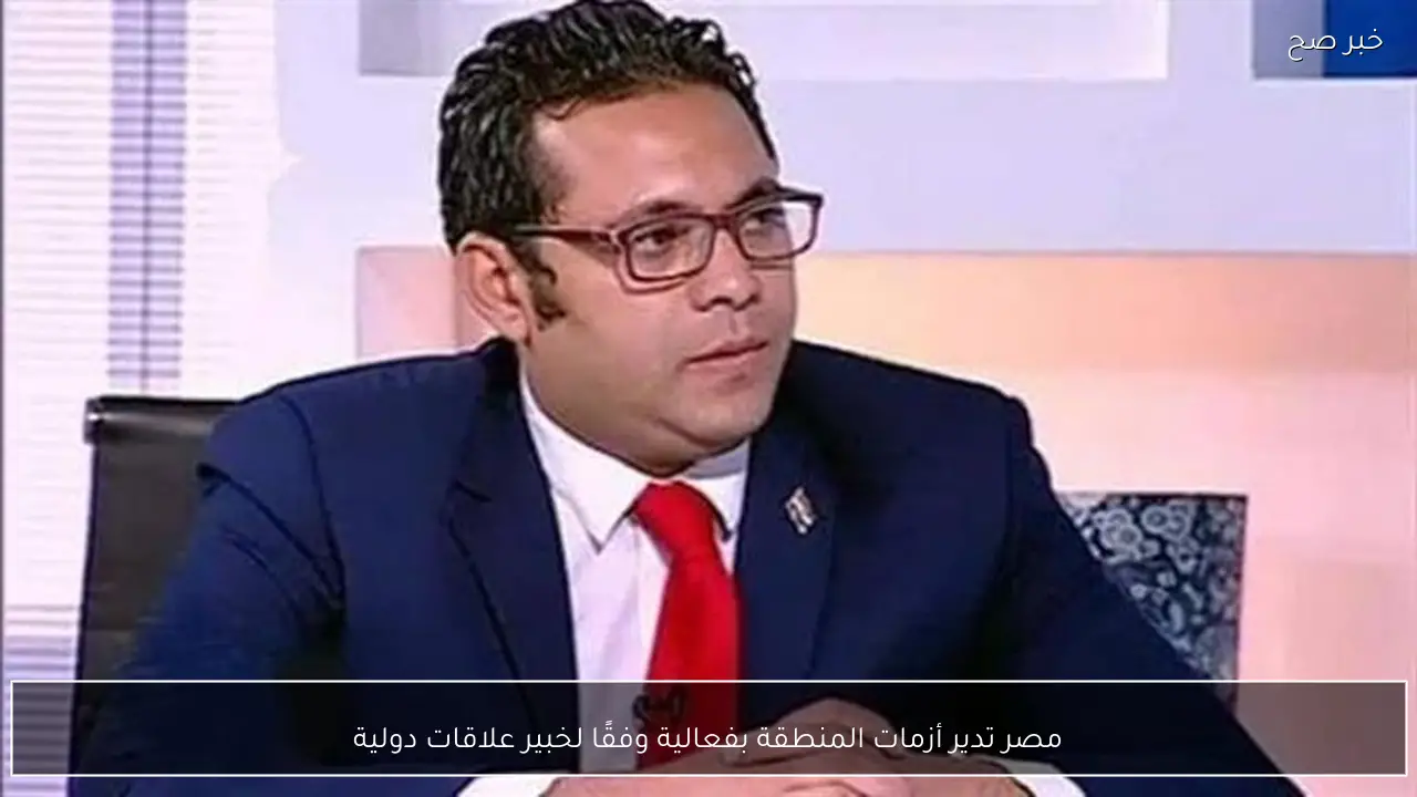 مصر تدير أزمات المنطقة بفعالية وفقًا لخبير علاقات دولية