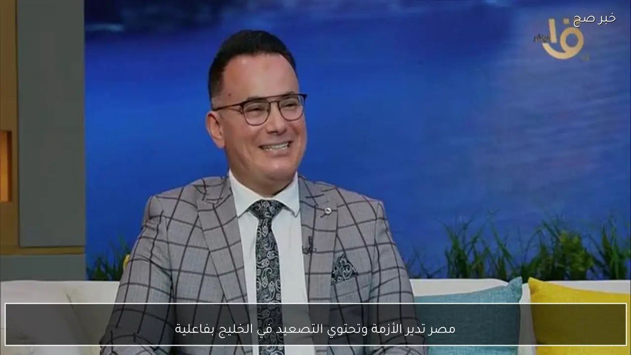 مصر تدير الأزمة وتحتوي التصعيد في الخليج بفاعلية