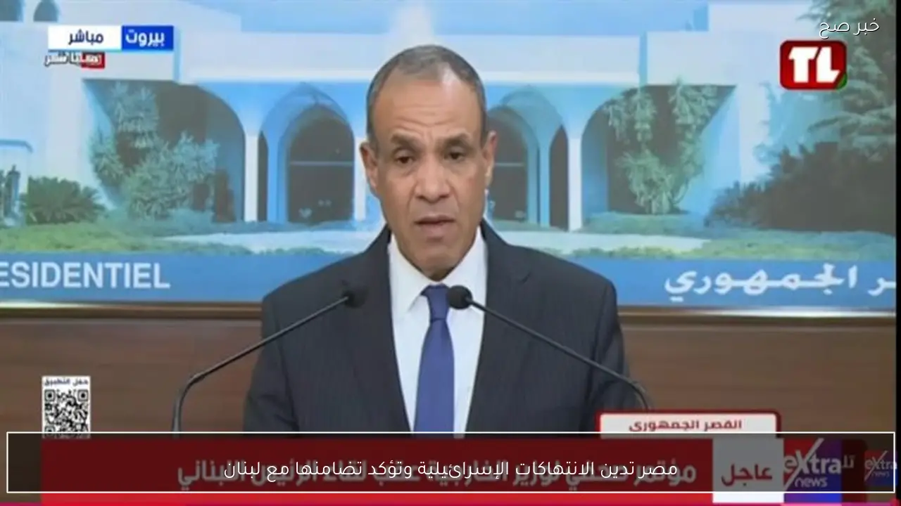 مصر تدين الانتهاكات الإسرائيلية وتؤكد تضامنها مع لبنان