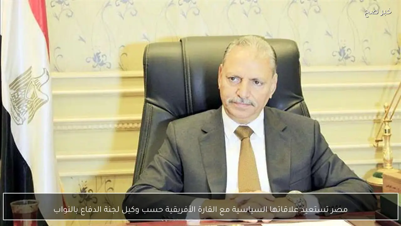 مصر تستعيد علاقاتها السياسية مع القارة الأفريقية حسب وكيل لجنة الدفاع بالنواب