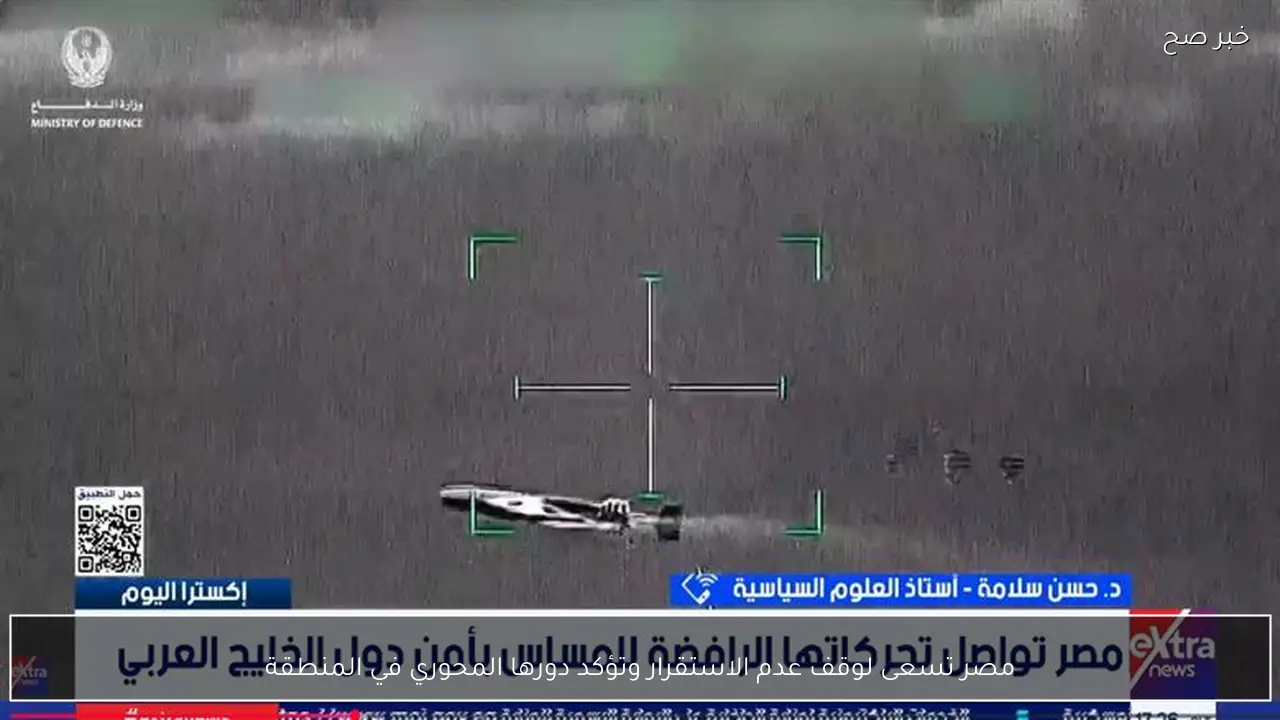 مصر تسعى لوقف عدم الاستقرار وتؤكد دورها المحوري في المنطقة