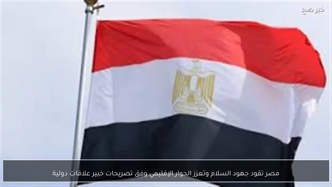 مصر تقود جهود السلام وتعزز الحوار الإقليمي وفق تصريحات خبير علاقات دولية