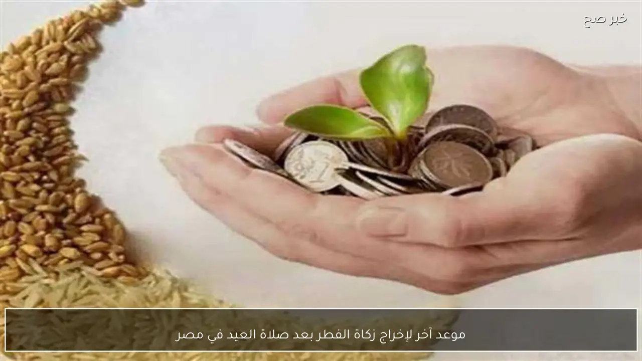 موعد آخر لإخراج زكاة الفطر بعد صلاة العيد في مصر