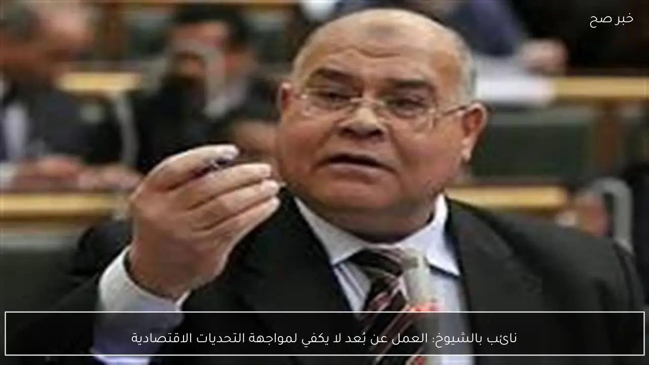 نائب بالشيوخ: العمل عن بُعد لا يكفي لمواجهة التحديات الاقتصادية