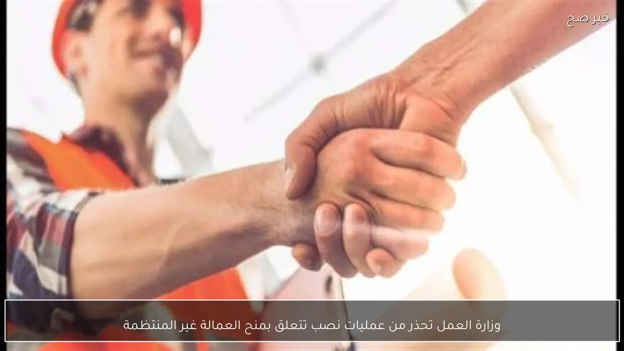 وزارة العمل تحذر من عمليات نصب تتعلق بمنح العمالة غير المنتظمة