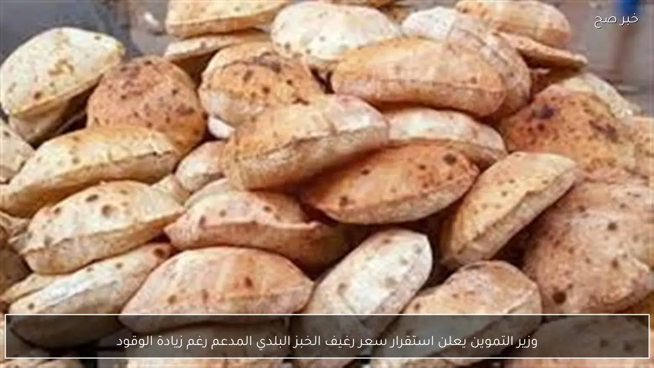 وزير التموين يعلن استقرار سعر رغيف الخبز البلدي المدعم رغم زيادة الوقود
