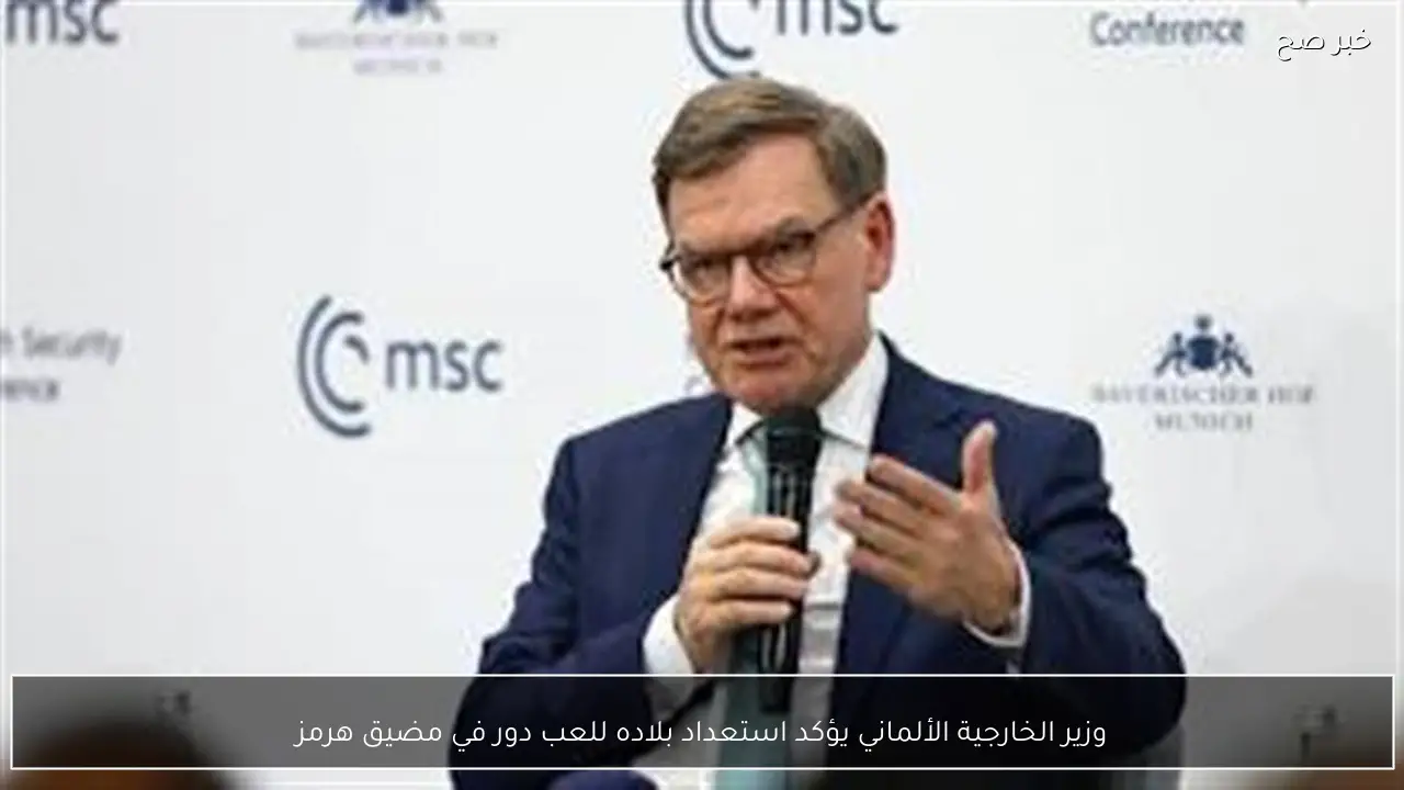 وزير الخارجية الألماني يؤكد استعداد بلاده للعب دور في مضيق هرمز