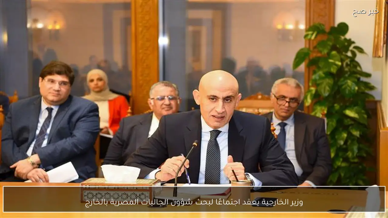 وزير الخارجية يعقد اجتماعًا لبحث شؤون الجاليات المصرية بالخارج