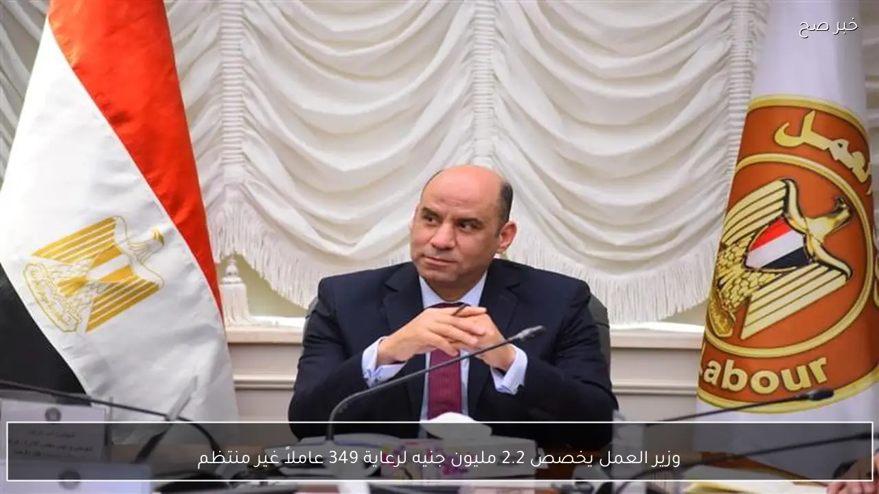 وزير العمل يخصص 2.2 مليون جنيه لرعاية 349 عاملاً غير منتظم