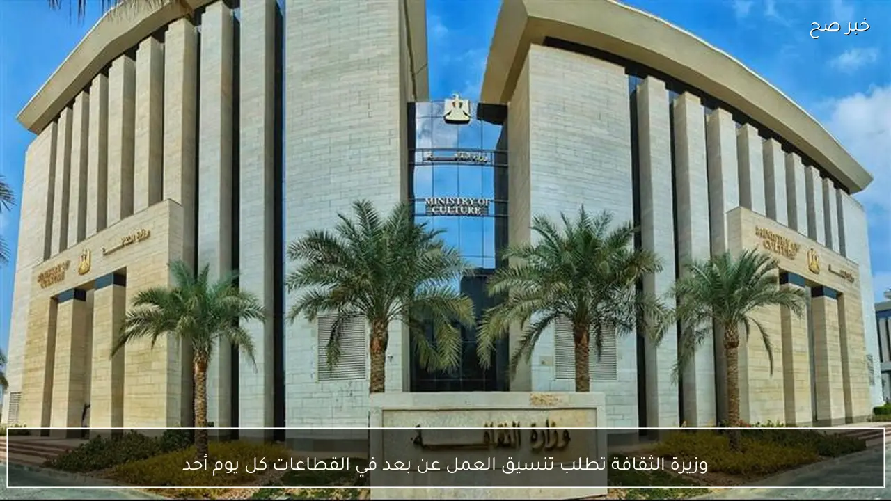 وزيرة الثقافة تطلب تنسيق العمل عن بعد في القطاعات كل يوم أحد