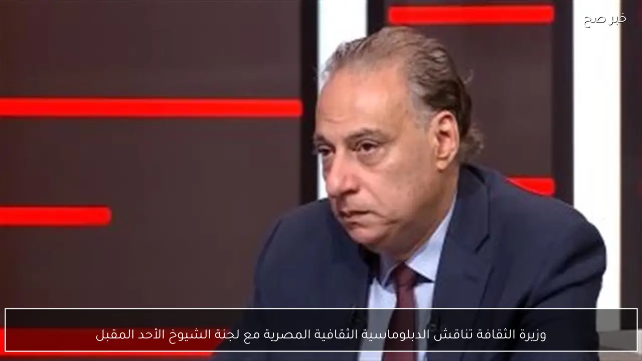 وزيرة الثقافة تناقش الدبلوماسية الثقافية المصرية مع لجنة الشيوخ الأحد المقبل